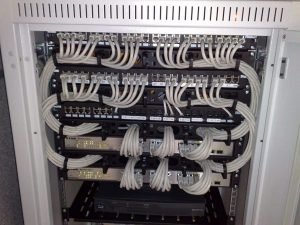 e341664d4398ca5cecaec8f805120f21.jpg